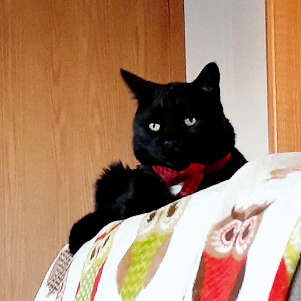 Meet your Posher, Liz